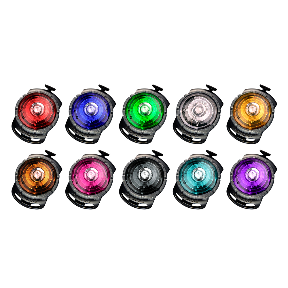 Orbiloc Dog Dual Safety Lights helles Sicherheitslicht in div. Farben