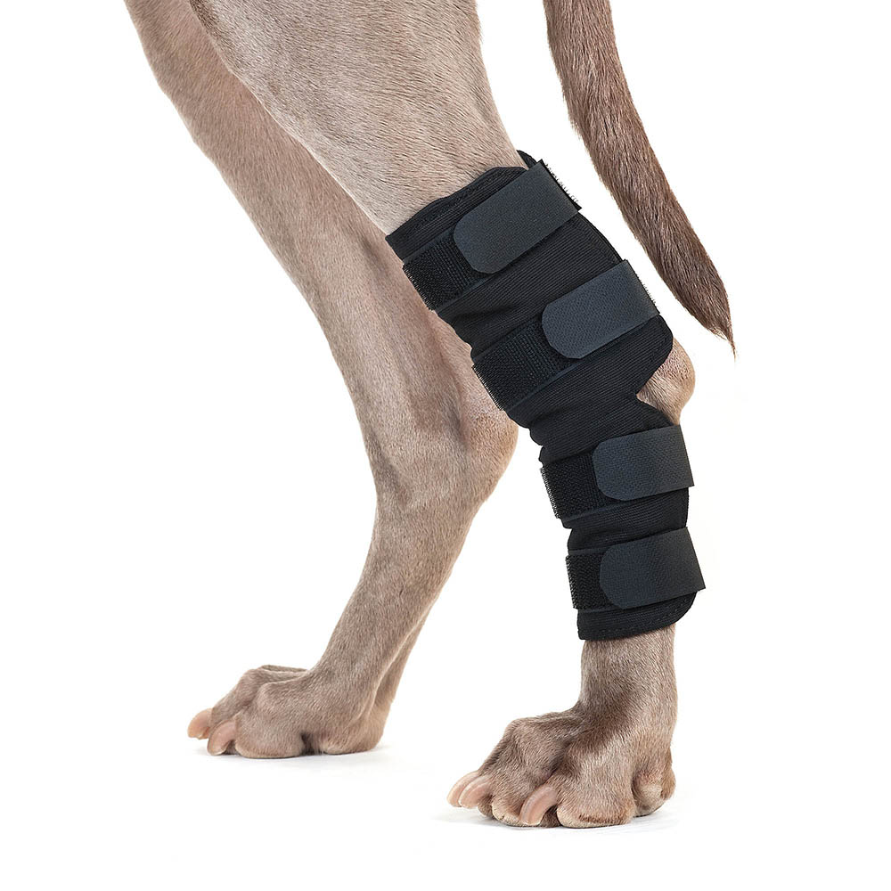 Hunde-Beinbandage, Beinschiene, Knieschiene, Tiermedizinisch-, Schutzbandage