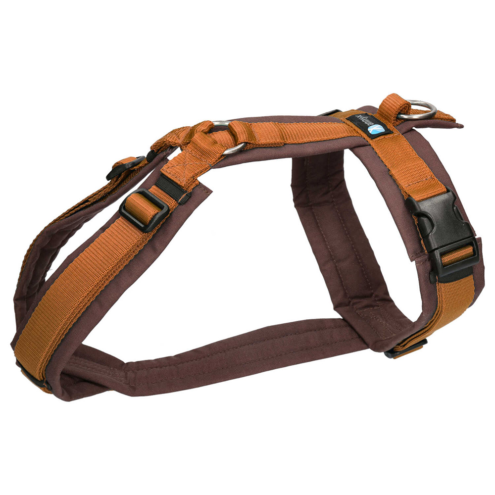 anny-x Brustgeschirr Fun braun bernstein - XL