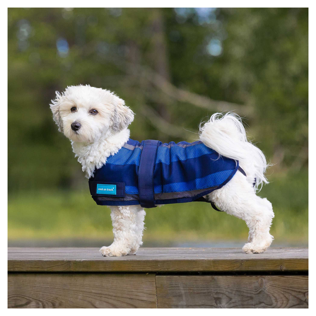 Hundedogsweste, Hundeweste, Outdoor-Weste, Blaues Hunde-Weste, Hundejacke mit Weste