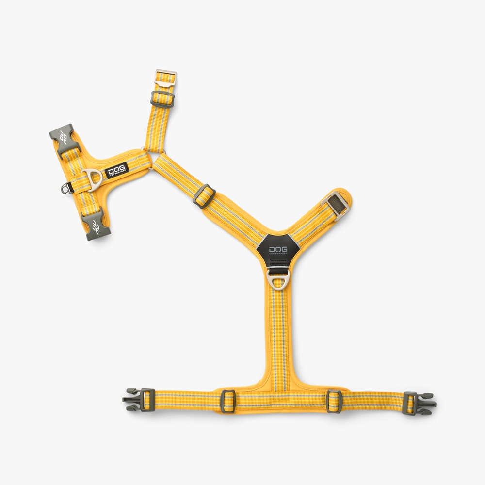 harness, hundengeschirr, gelb, verstellbar, riemen