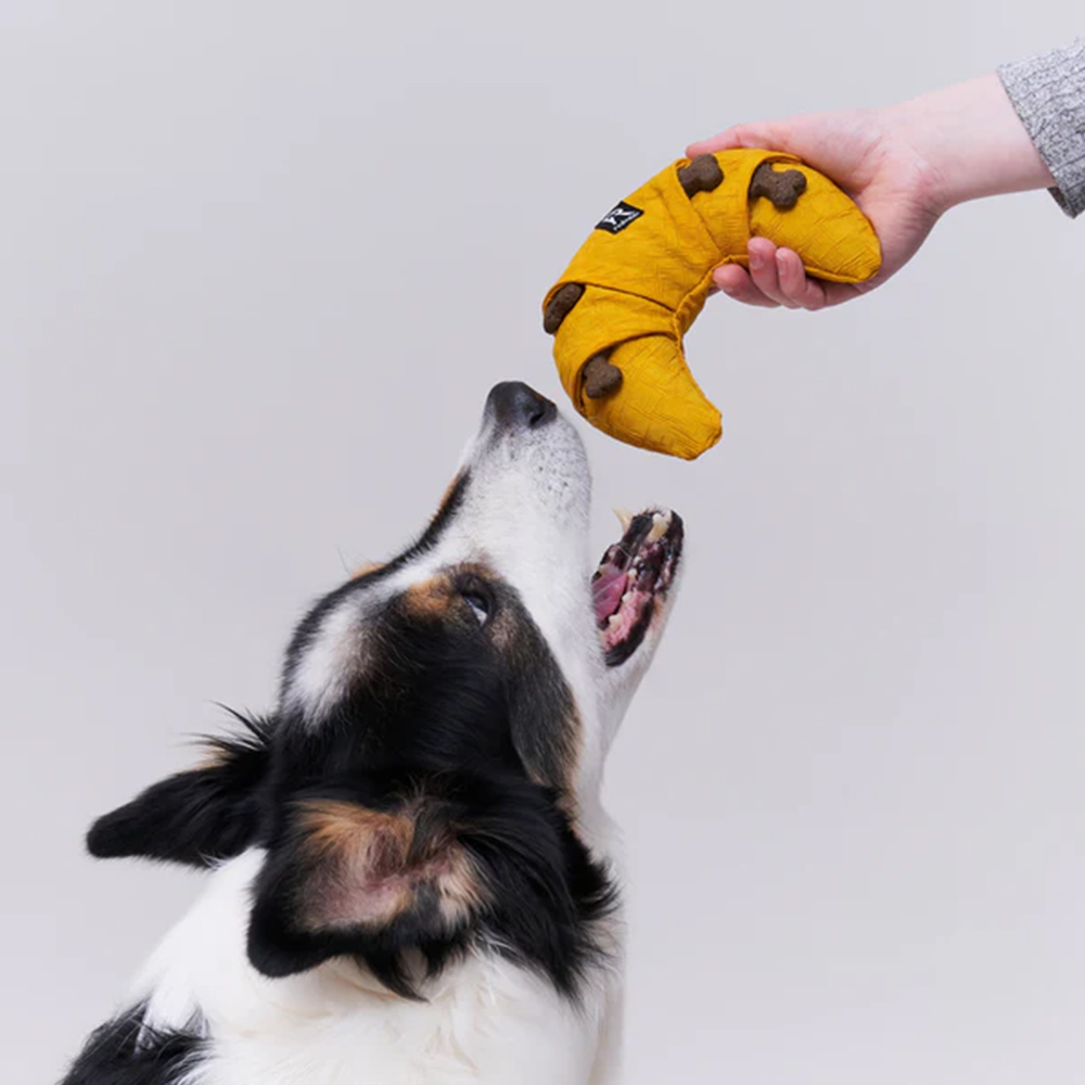 Hund, Hundespielzeug, Kauspielzeug, Gelb, Plüschknochen