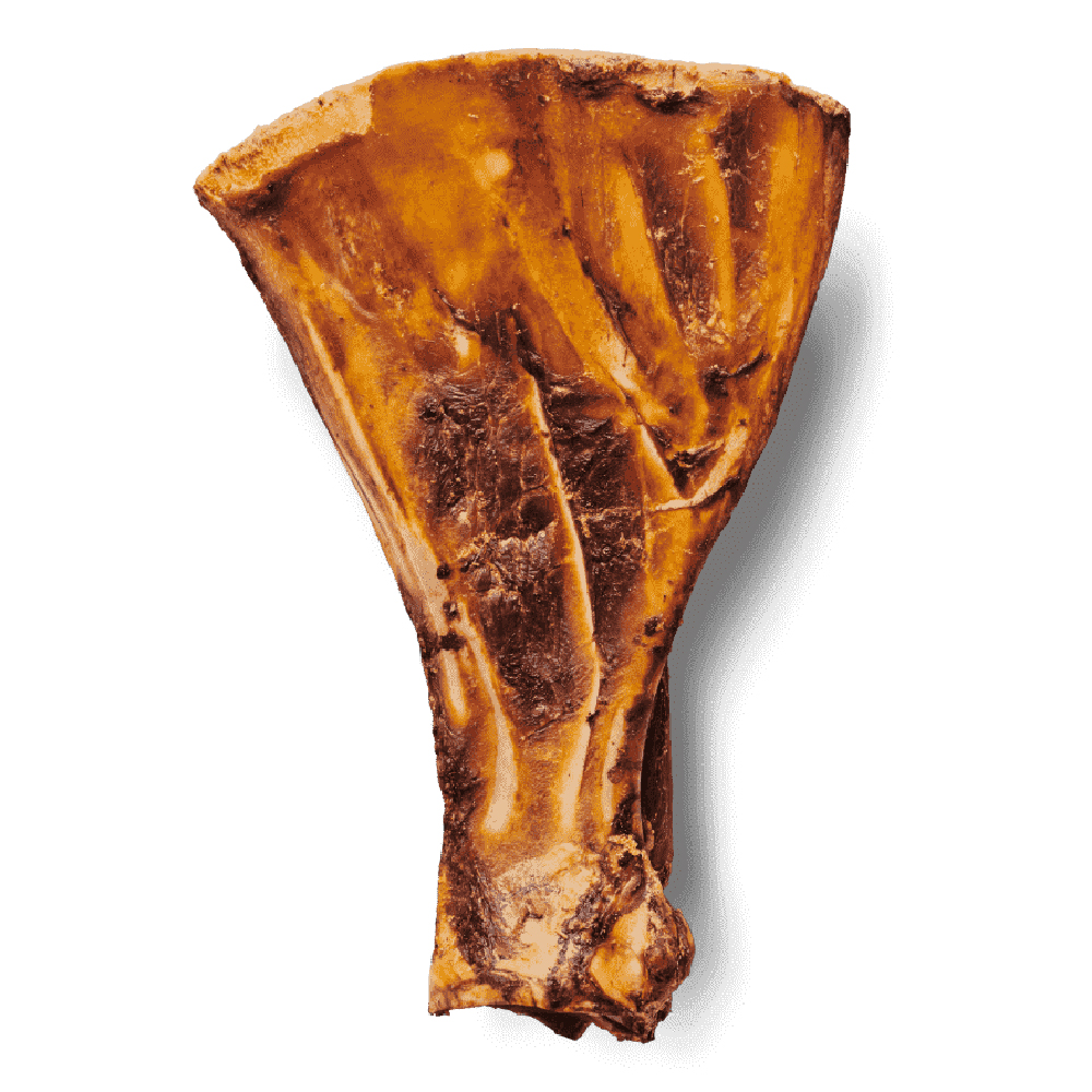 Irish Pure Roasted Paddle Bone – getrocknetes Schulterblatt Rind ca. 1kg