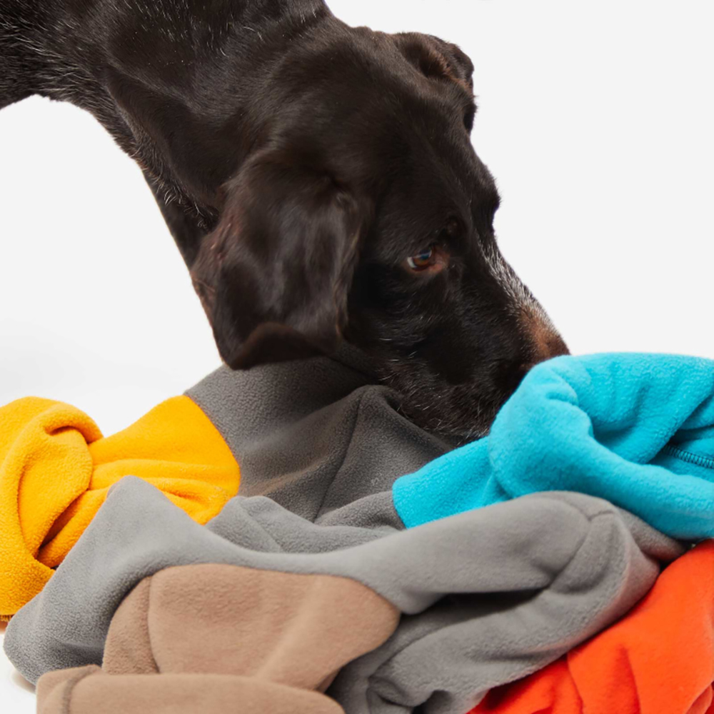 Hund, Spielzeug, Kuscheldecke, Fleece, Bezug