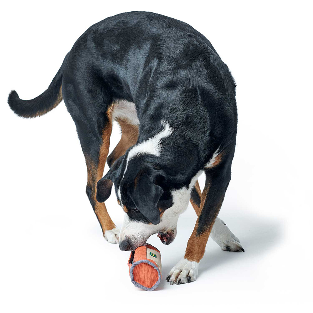 Hund, Spielzeug, Knackspielzeug, Gummi+Stoff, Tricolor