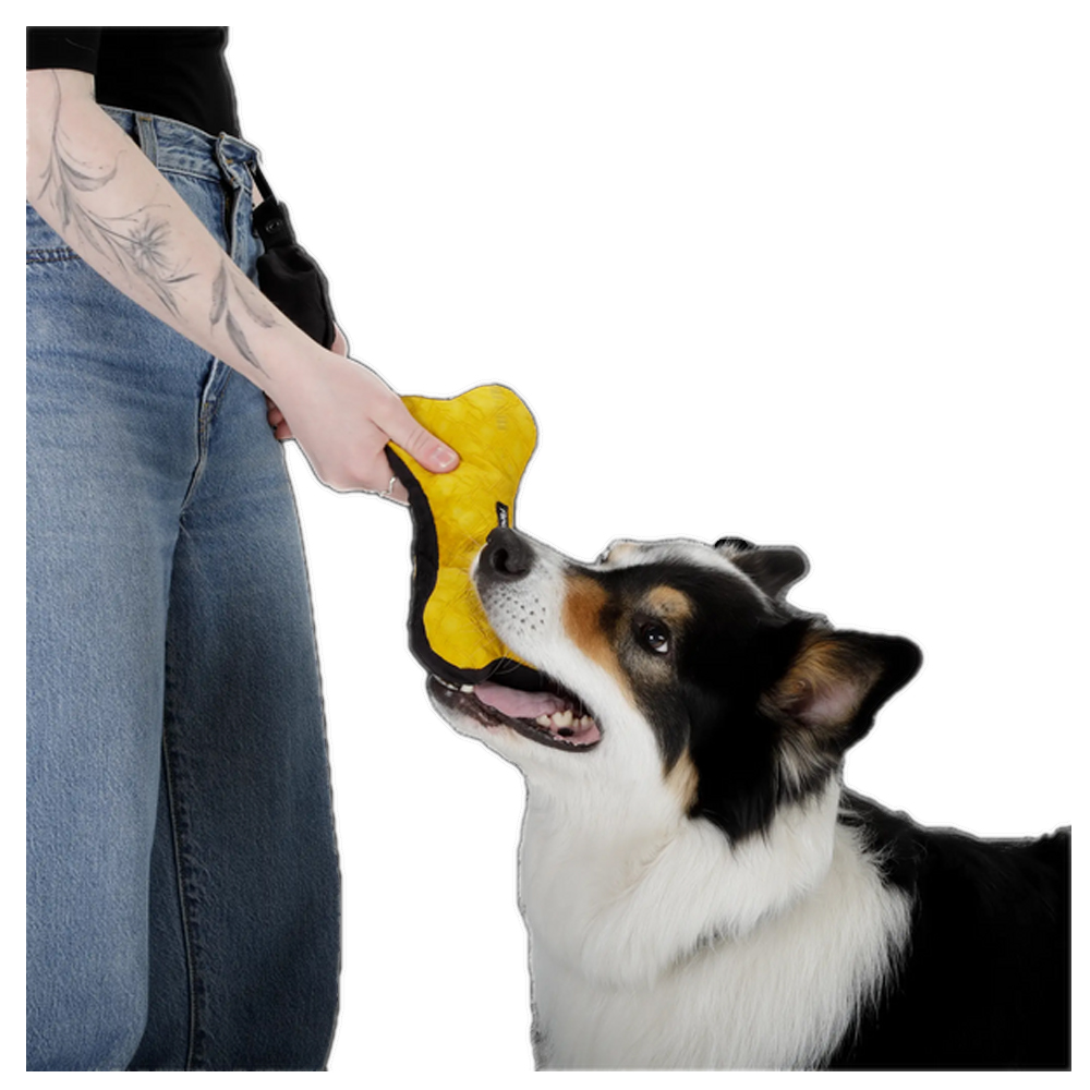 Hundespielzeug, Kau-Spielzeug, Beissspielzeug, Gelb, Hund