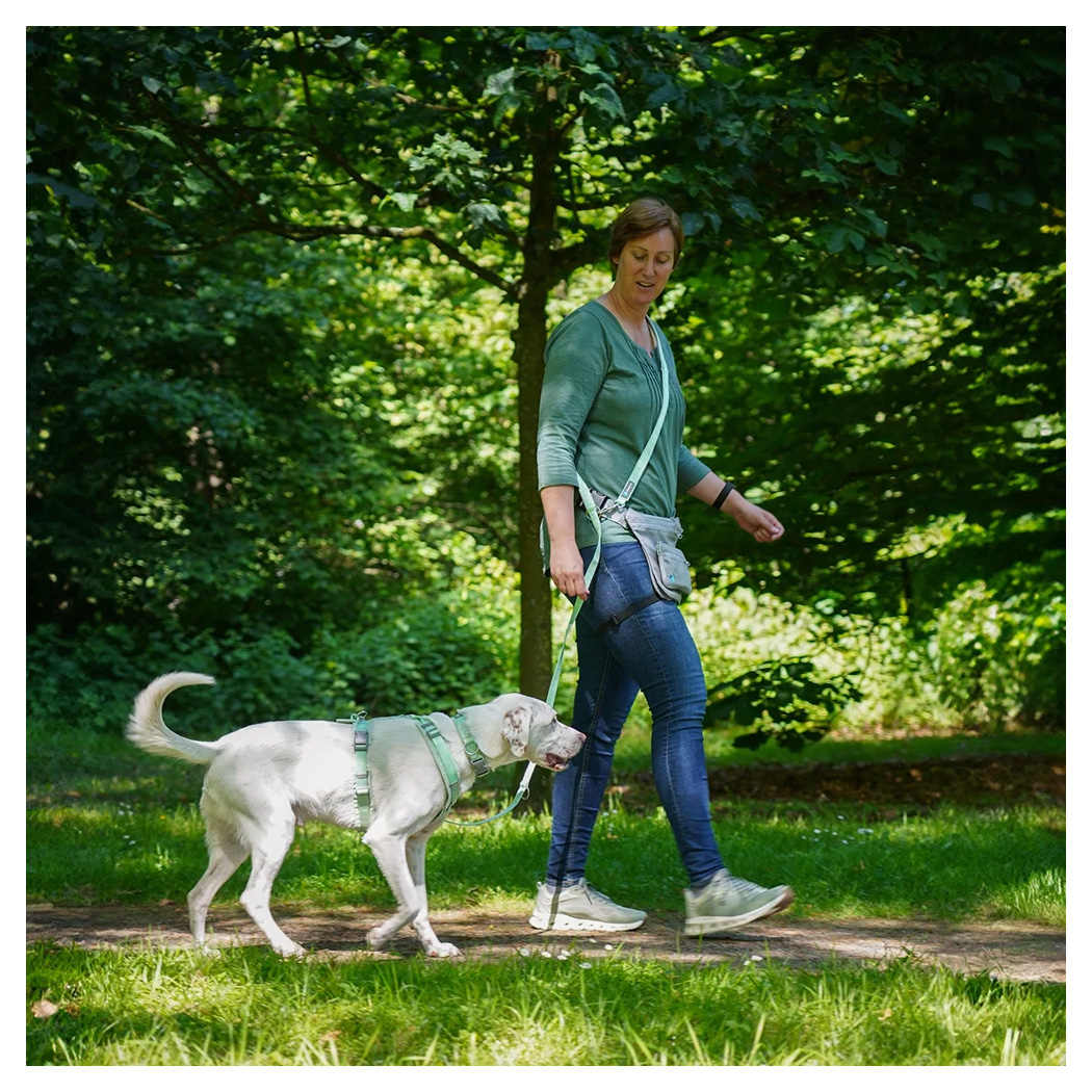 hund, hundeleine, spaziergang, park, frau
