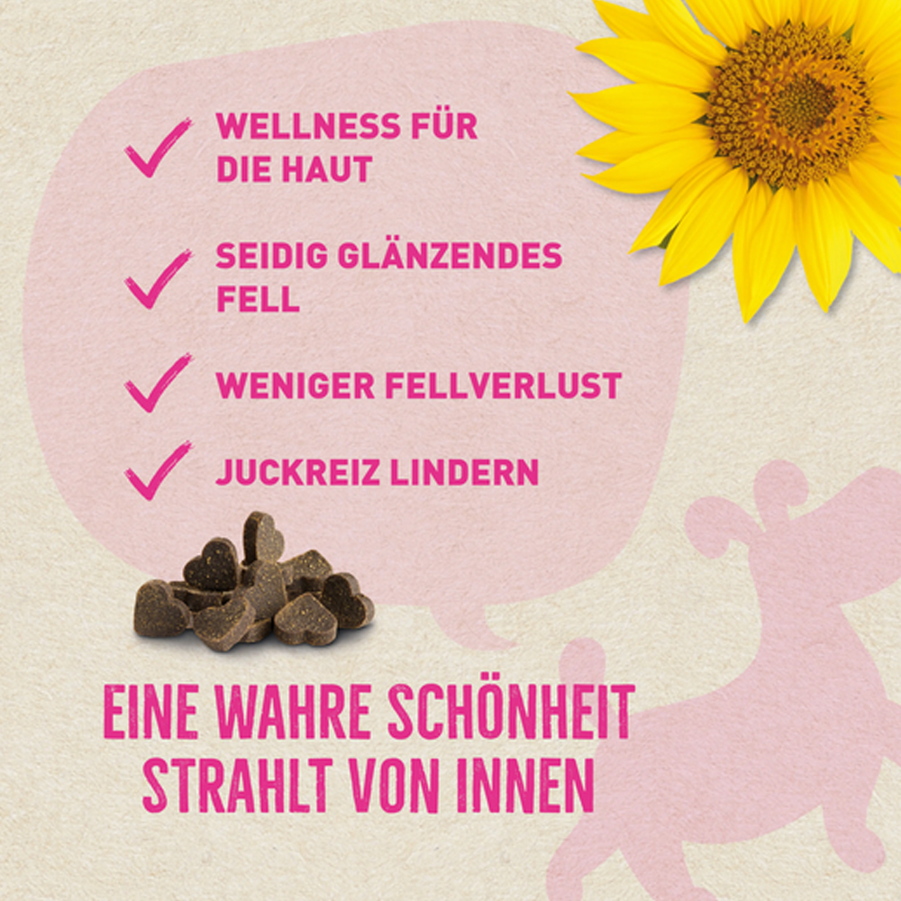 pink text, sonnblume, braune pralinen, grafik plakat, texturierter hintergrund
