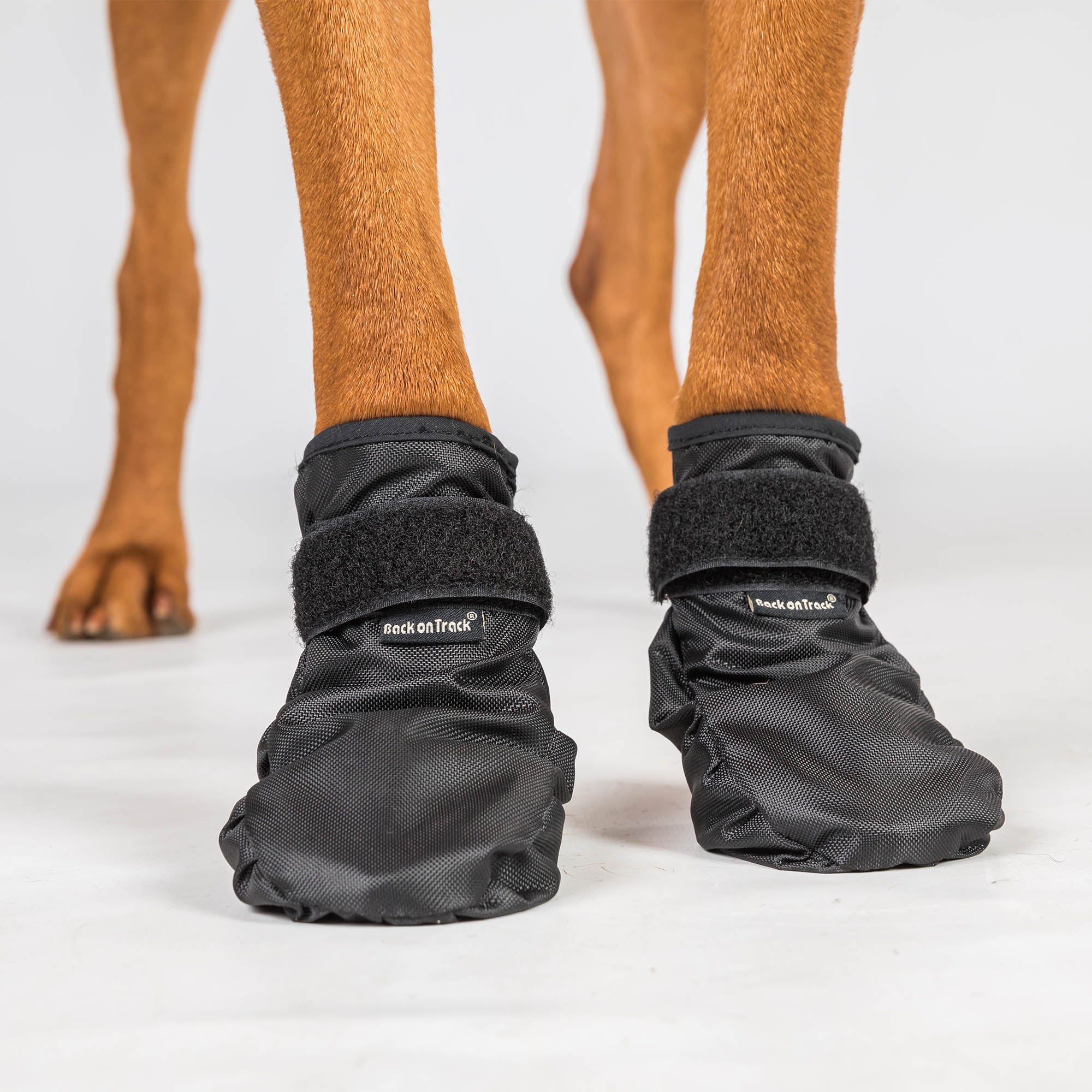 Bekleidung, Schuhwerk, Schuh, Sneaker, Person