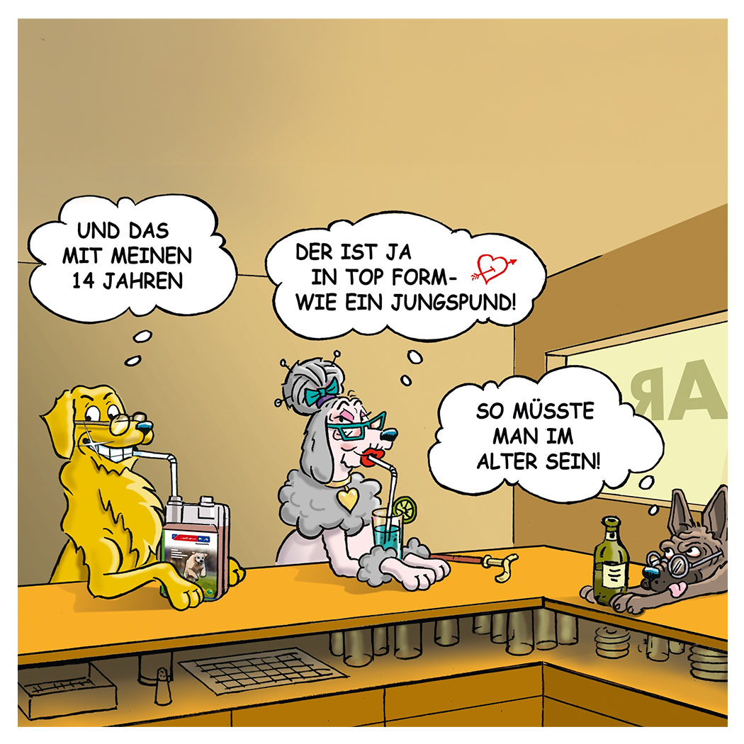 hund, karikatur, trinken, bar, wein
