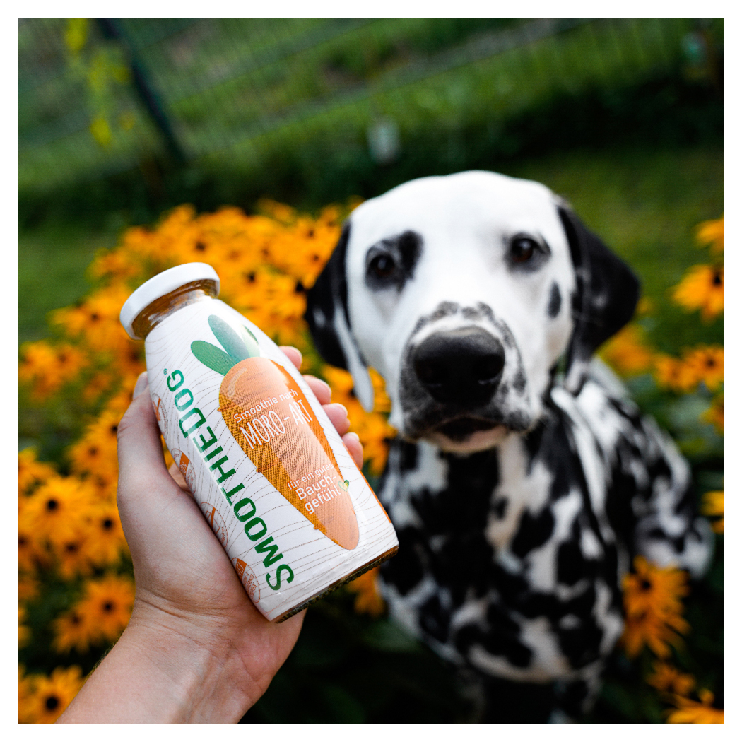 dog, flasche, blumen