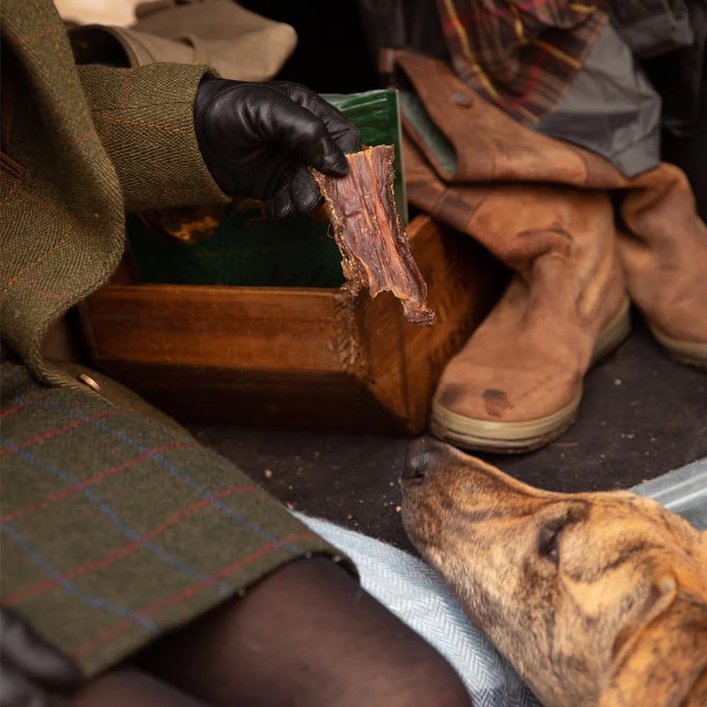 Bacon, Handschuh, Stiefel, Hund, Holzbox