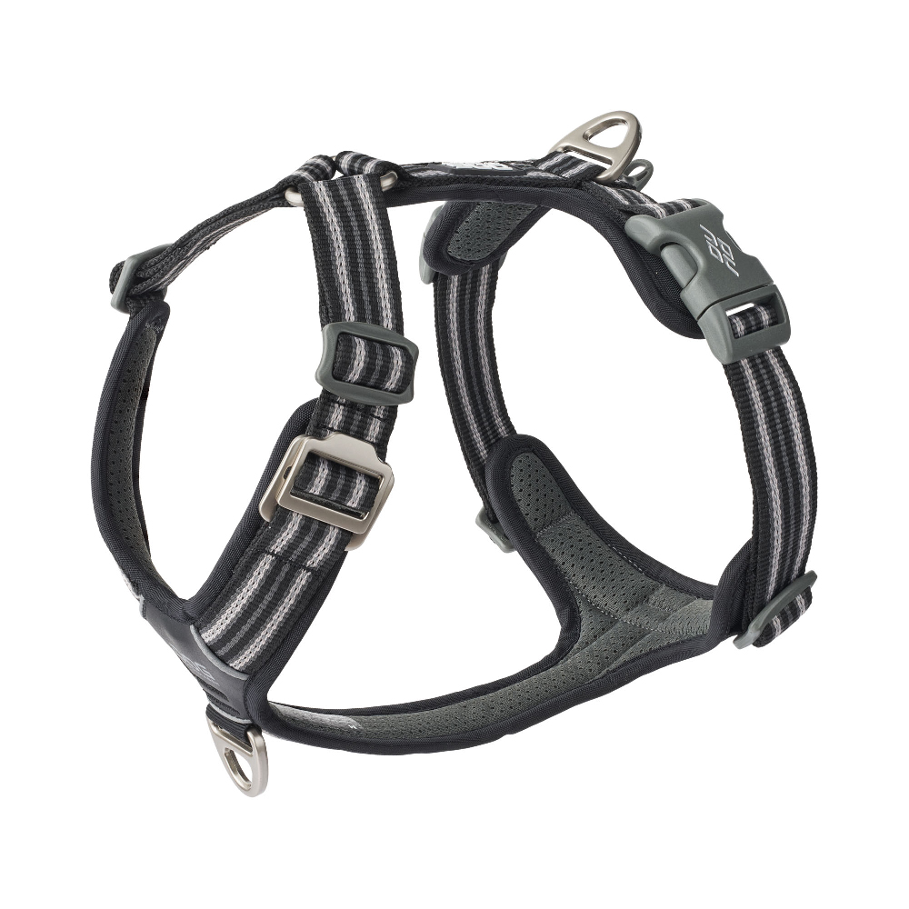 Hundehalsband, Brustgeschirr, Gurtband, Klettverschluss, Grau-schwarz