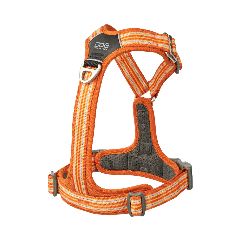 Halsband, Hundehalsband, verstellbar, orange, Mesh-Polsterung