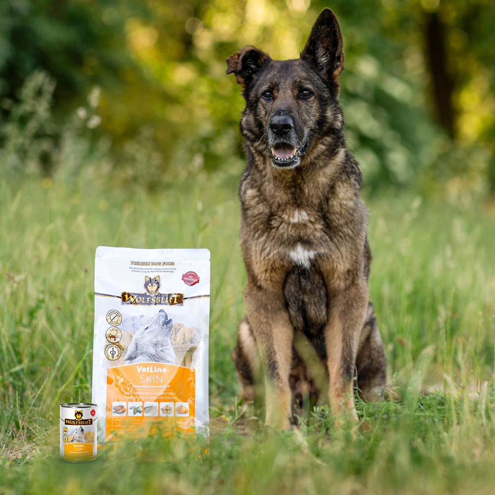 hund, hundefutter, vetline, haut, tüte