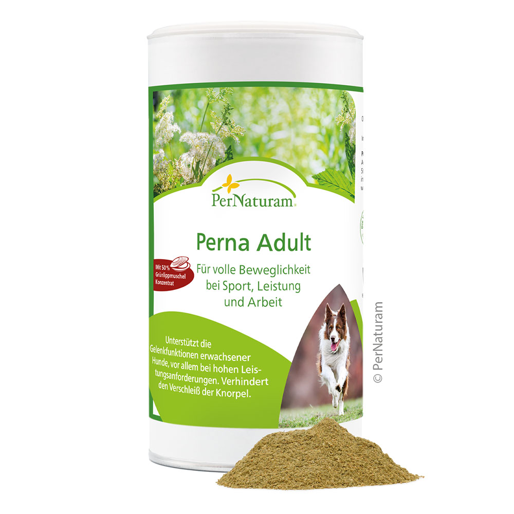 PerNaturam Perna Adult in 250g oder 1.000g Kräuterig, Pflanze, Hund, Haustier, Puder