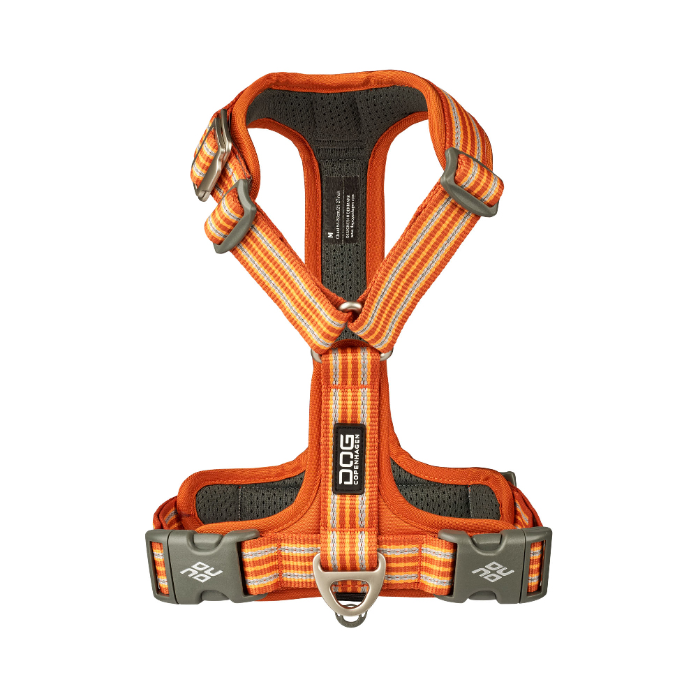 Halfter, Gurte, Halsband, Klettergurt, orange Muster