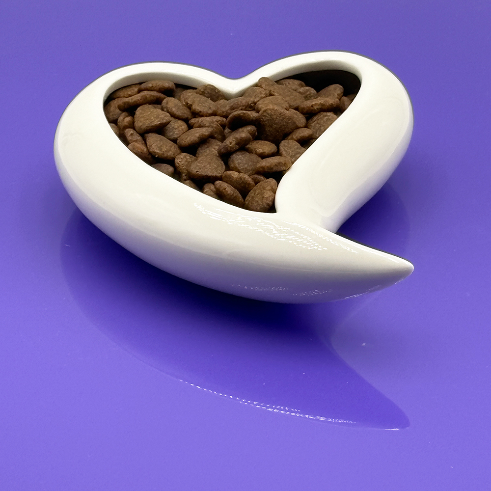 herzformige schale, kroketten-kerne, pet-food, chips, schale