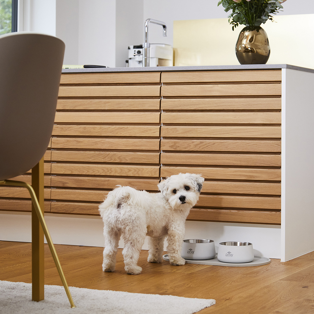 Hund, Hunde Napf, Hundefutter, Küche, Haustier