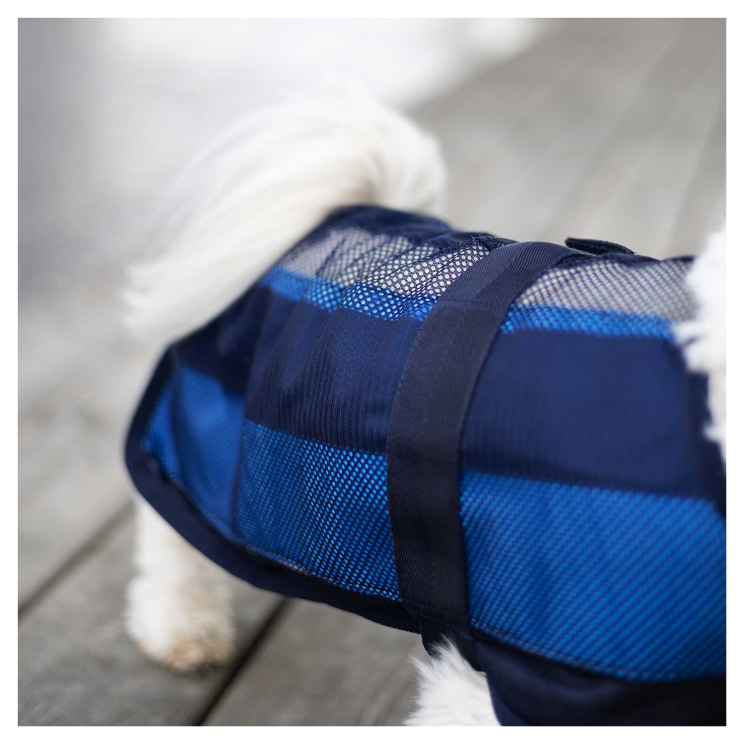 hundehalsband, blaues halsband, mesh strap, verstellbar, haustier zubehör