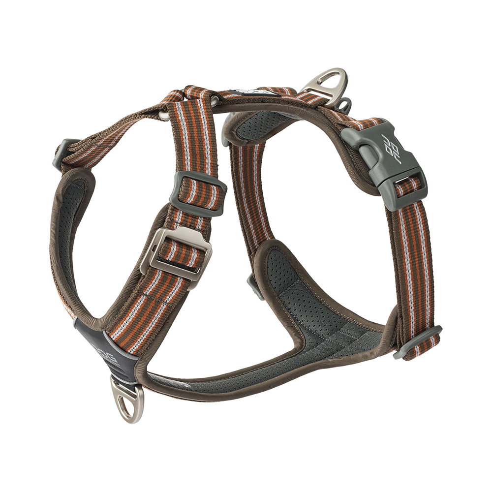 harness, hund, tier, streifen, verstellbar