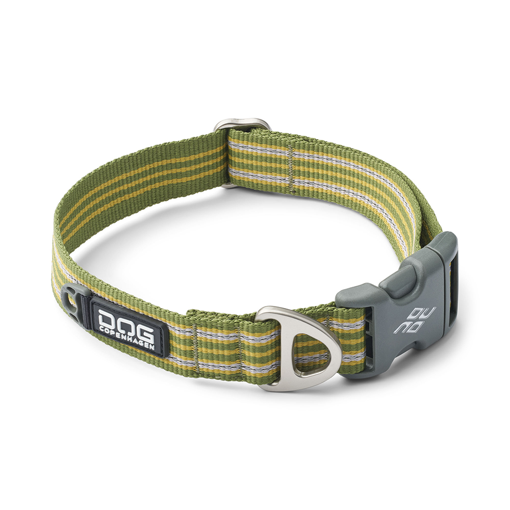 Halsband, Gurt, Klettverschluss, Streifen, Grün
