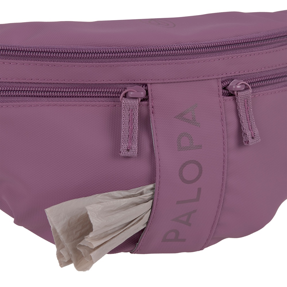 Gürteltasche, Lila Farbe, Reißverschluss, Kompakte Tasche, Taschennudel