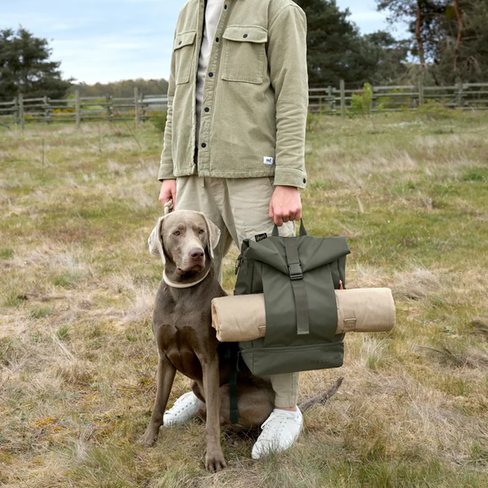 jacke, khaki, taschen, outdoor, hund mit reisetasche