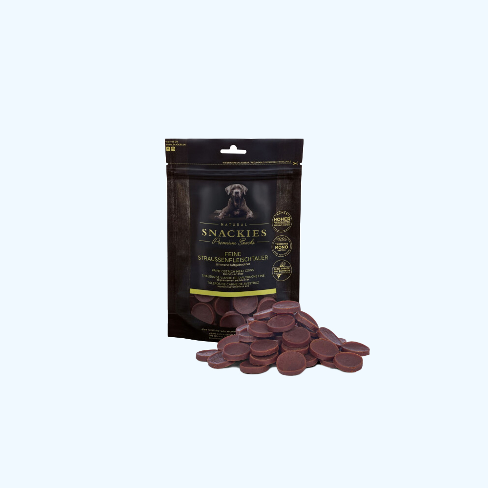 Kakao, Essen, Tasse, Schokolade, Bär