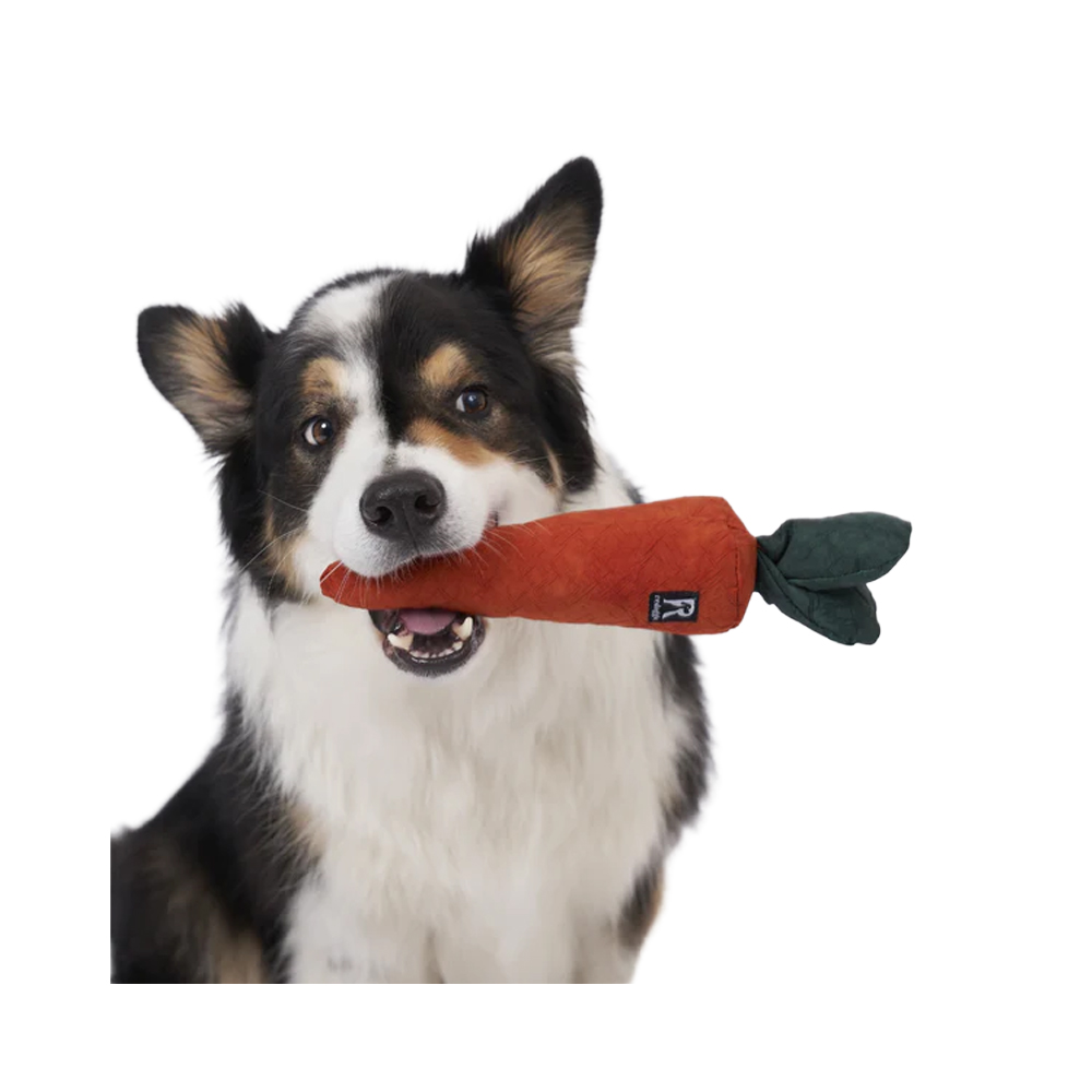 Hund, Kauspielzeug, Stöckchen, Kauspielzeug Hirsch, Rot