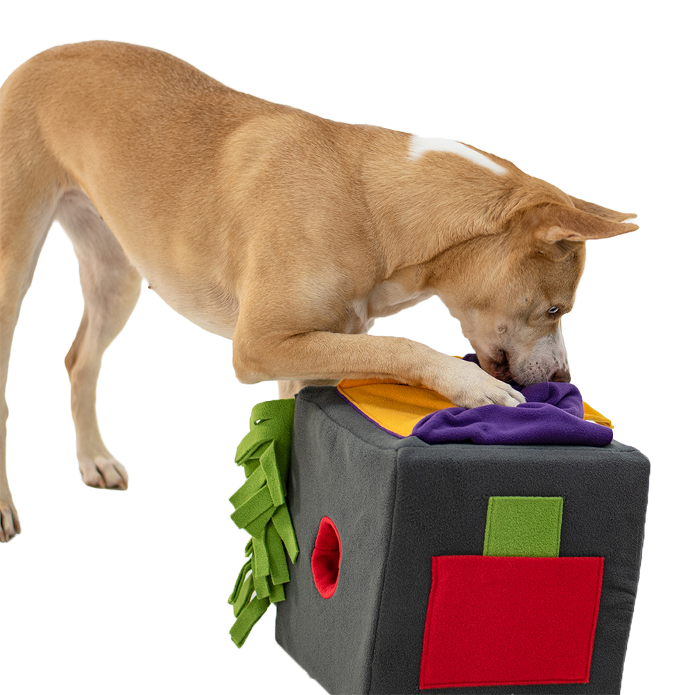 hund, spielzeug, aktivität, hunde-Spielzeug, boxen-kubus