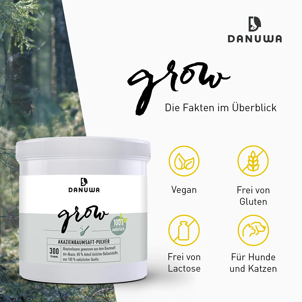Kräuterig, Kräuter, Pflanze