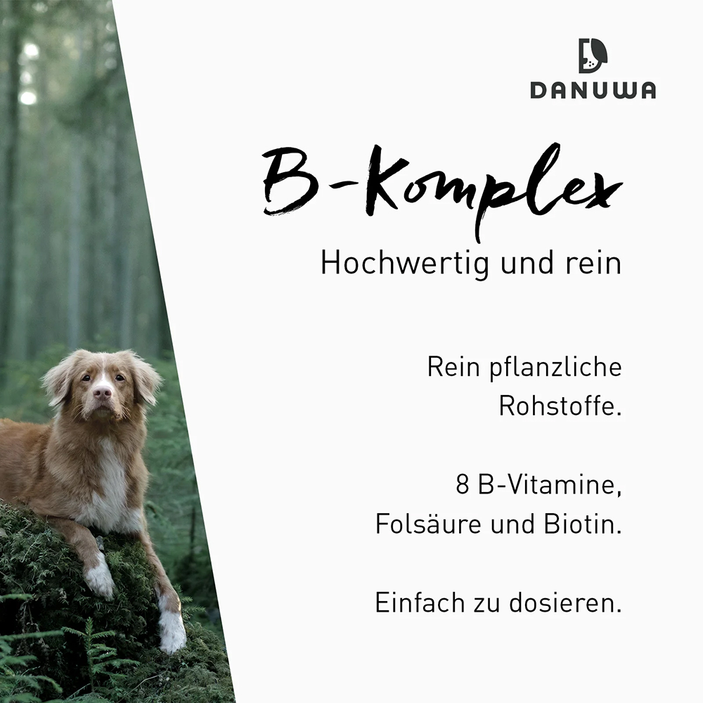 Hund, Hundefutter, Biotin, Vitamin B, Pflanzenbasierte Rohstoffe