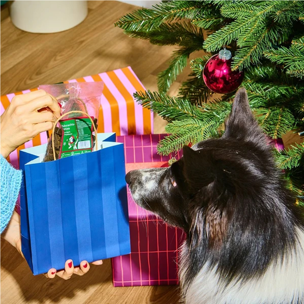 Hundekausnack, Kauartikel, Weihnachtsverpackung, grünes Etikett