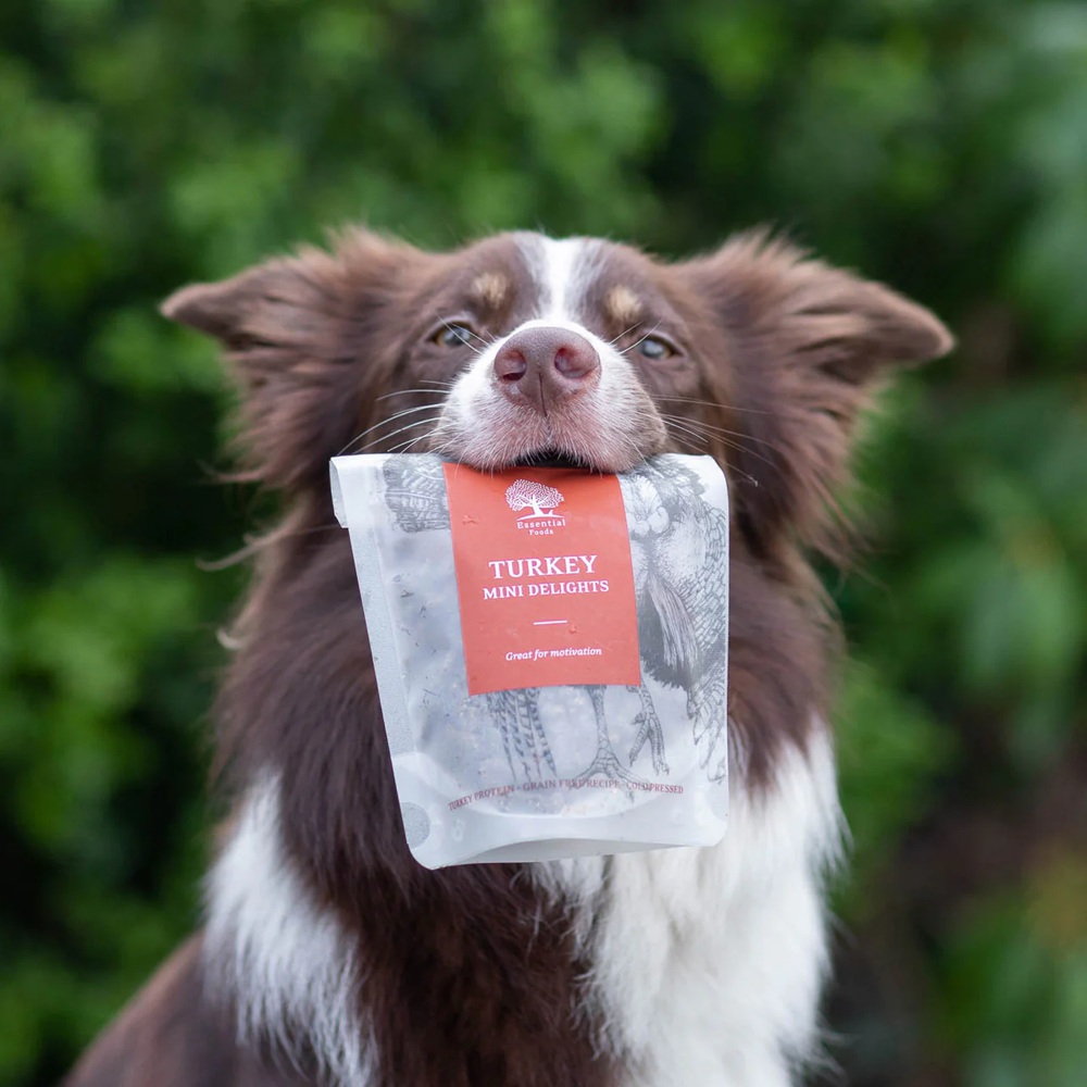 Hund, Hunde-Leckerli, Trockenfutter, Mini-Delights, Tiernahrung