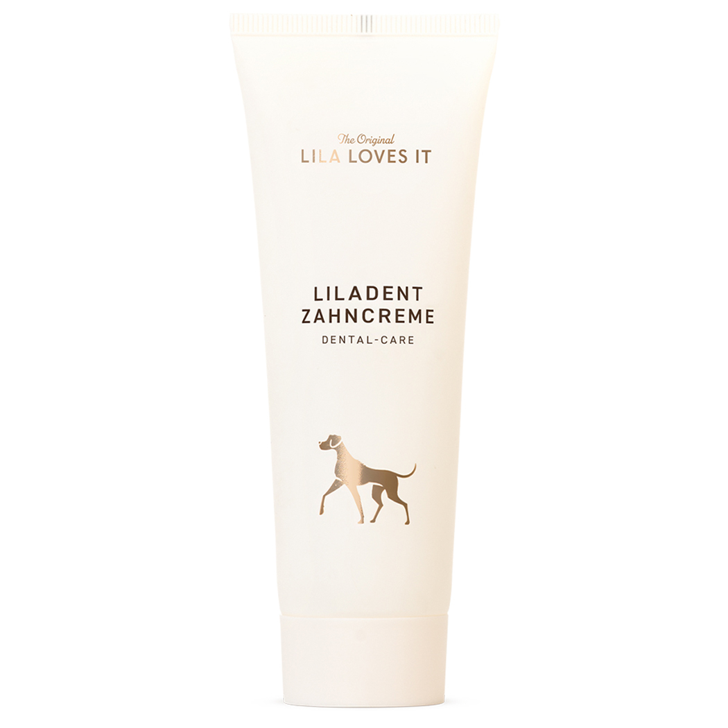 Zahncreme, Dental-Care, Zahnpasta, Hund, Dog