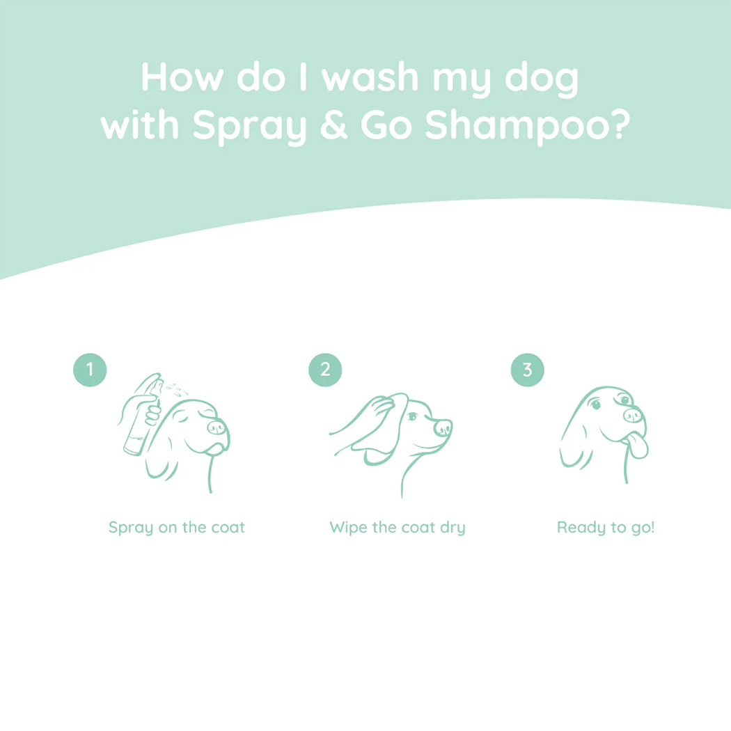 hundeshampoo, sprayflasche, fellpflege, hundillustration, grafikdesign