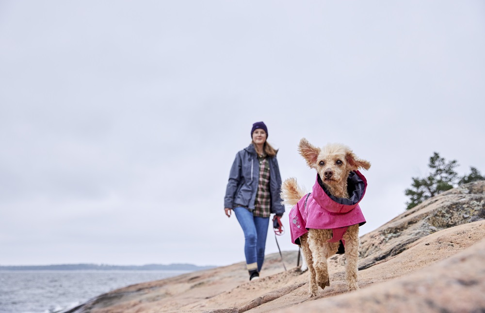 Person, Gehen, Fotografieren, Jacke, Hund