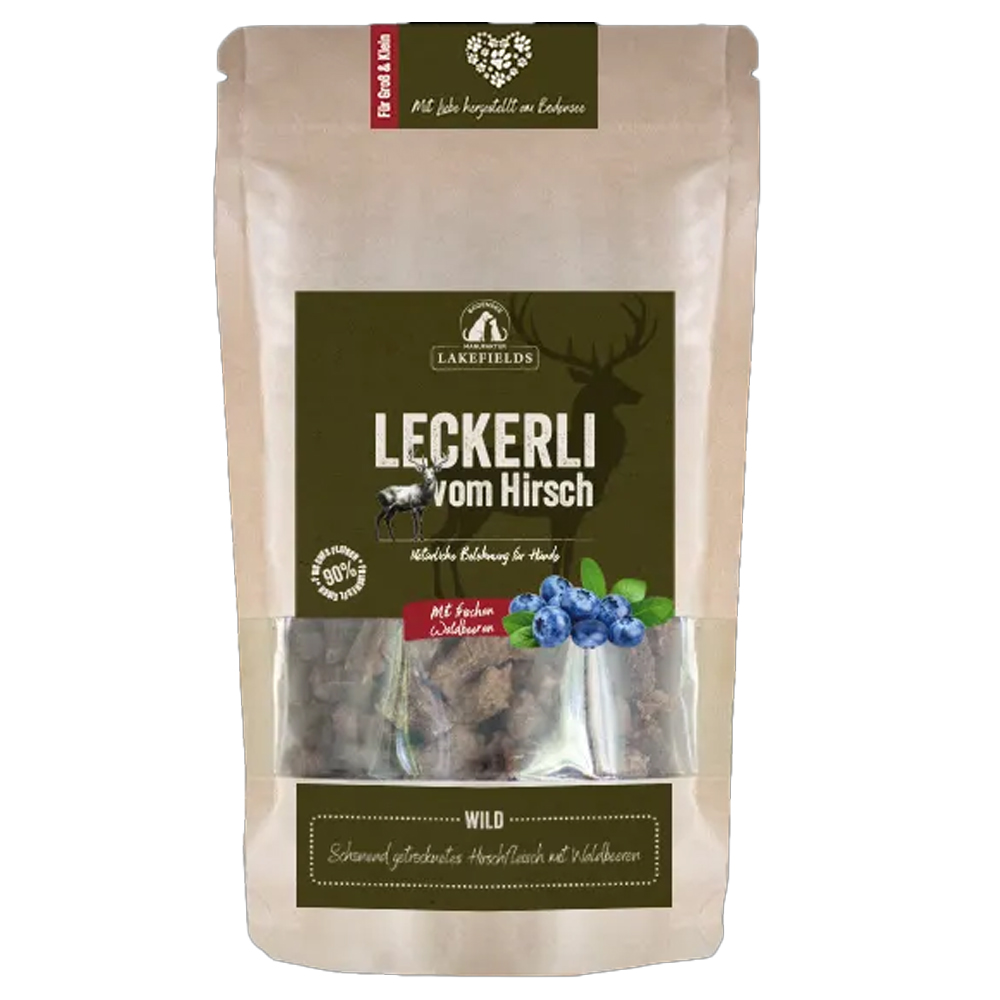 Blume, Pflanze, Pflanze im Topf