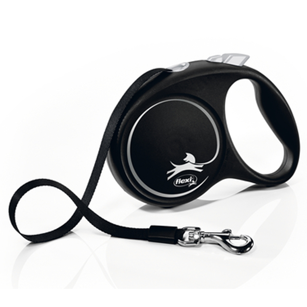 abroller, hunde, Leash, Lederschlauch, tageslicht?