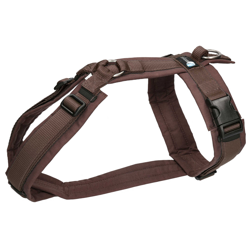 Kopfband, Halsband, Brustgeschirr, Hundegeschirr, Riemen