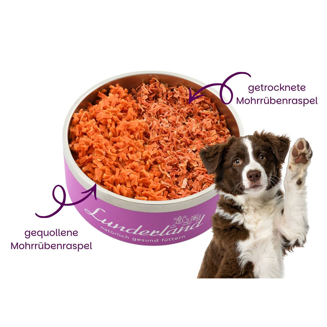 getrocknete Mohrückenraspel, Hunde-Nahrung, Karotte, Körniges Futter, Tierfutter
