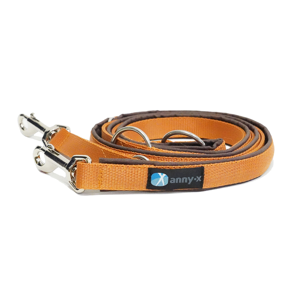 Hundeleine, orangenes Band, Metall-Clips, Rings, verstellbar