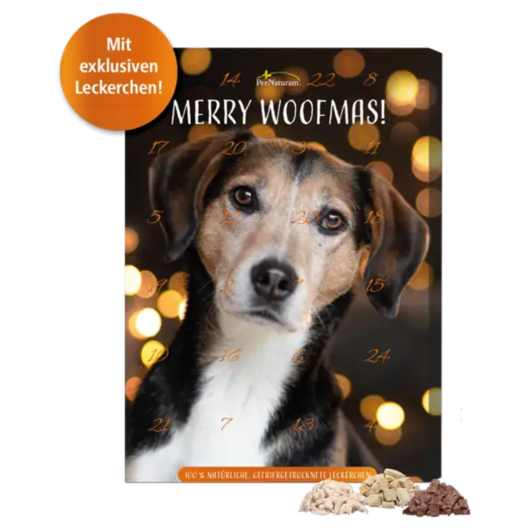 Hund, Adventskalender, Chlukot?, Hündchen, Adventskalender Hund