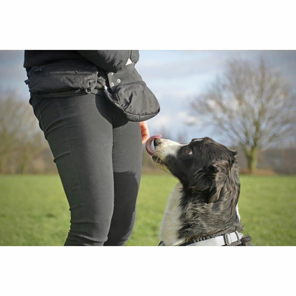 Person, Hund, Säugetier, Haustier