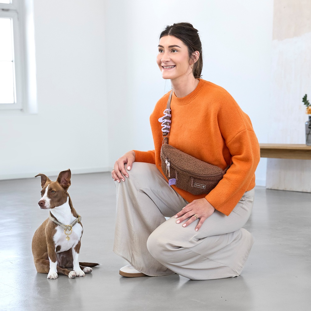 Pullover, orangener Pullover, Crossbody-Tasche, Fannypack, Hund mit Halsband