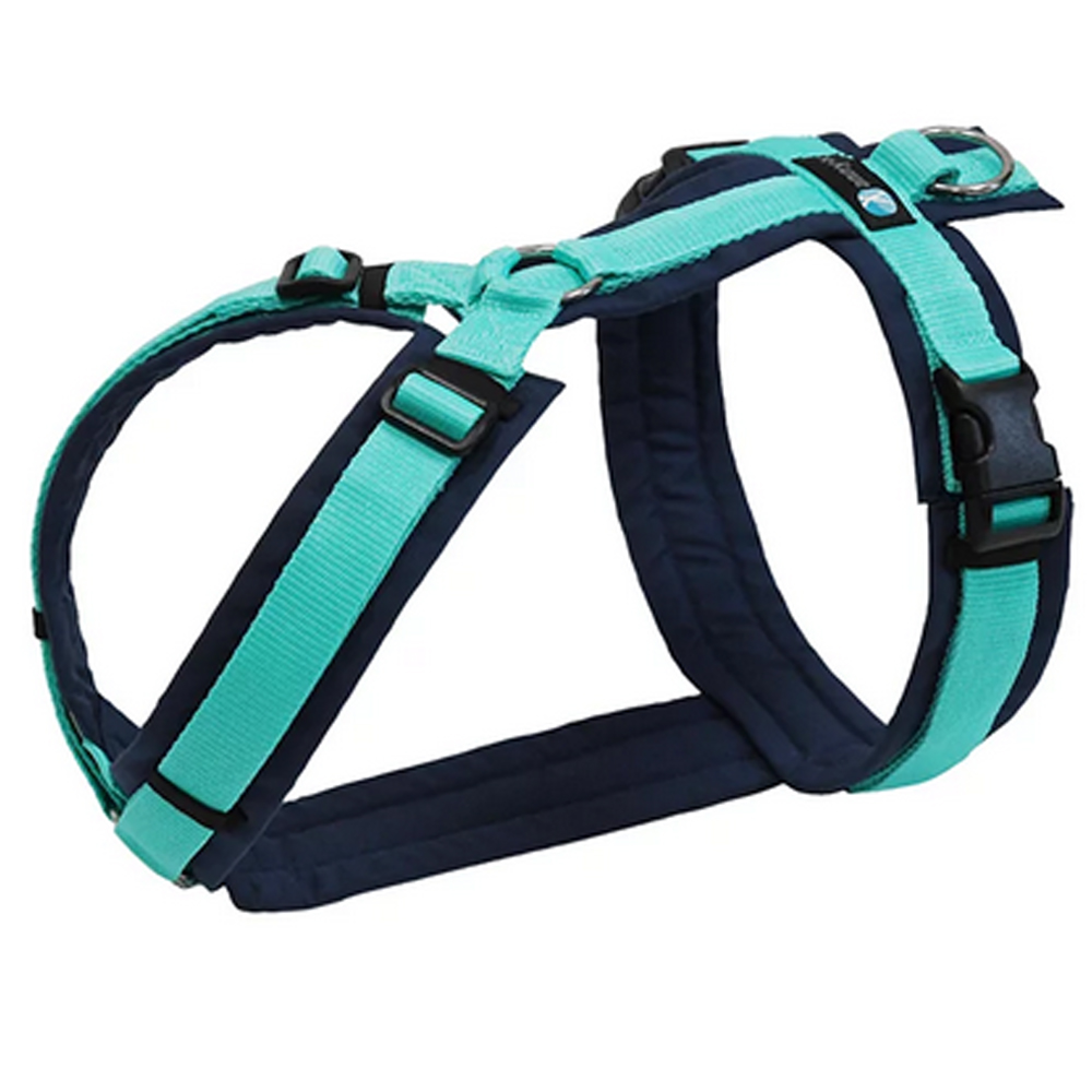 halsband, harness, neon teal, verstellbar, feste schlinge
