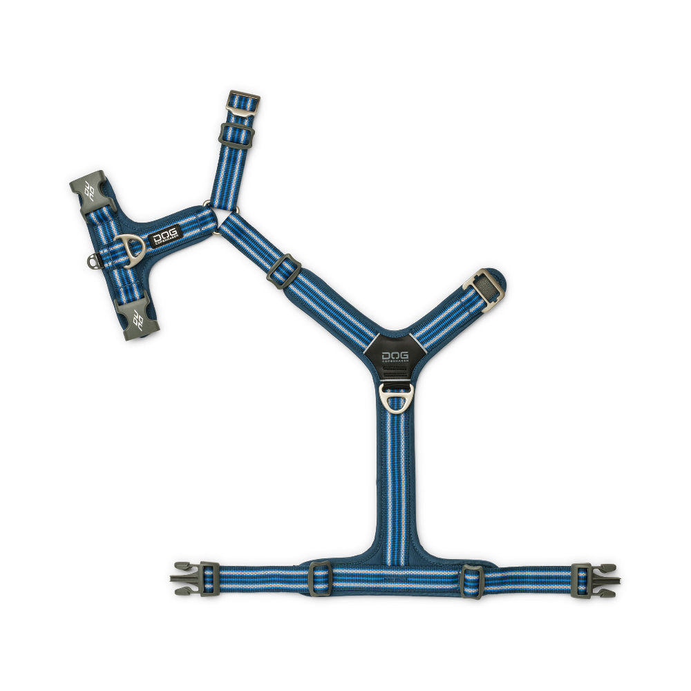 Halsband, Hundegeschirr, blau gestreift, verstellbar, Klettverschluss