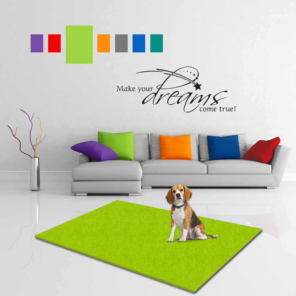 Dekoration für Zuhause, Kissen, Couch, Hund, Wohnzimmer