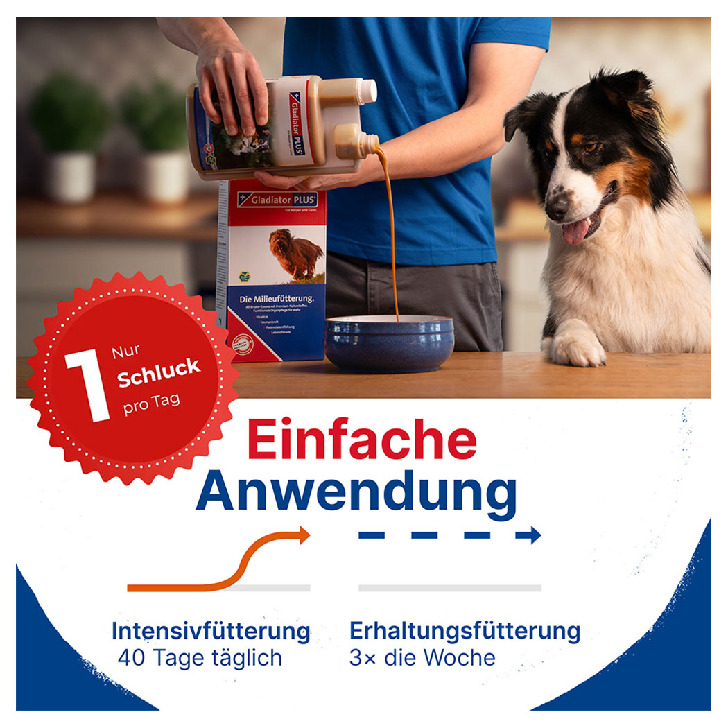 Hundefutter, Milieufütterung, Futterflasche, Beutelbox, Tiernahrung